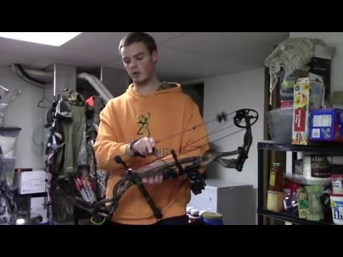 Finding Proper Draw Weight