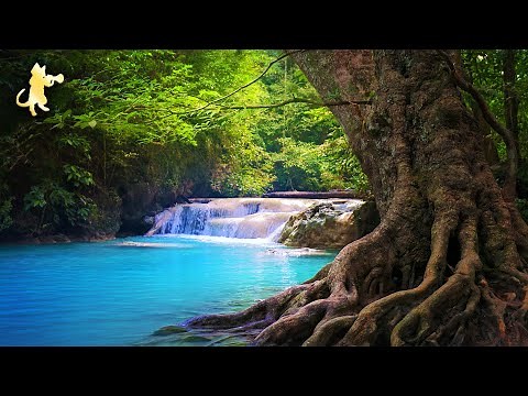 3 HOURS of Breathtaking Waterfall Scenery & Relaxing Piano Music! 🏞️🍂 Sleep, Study & Stress Relief.