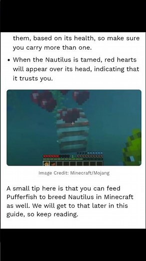 The Secrets of Nautilus: Nature's Living Fossil