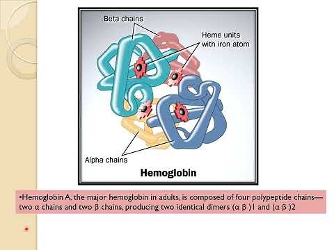 Hemoglobin structure and function 1