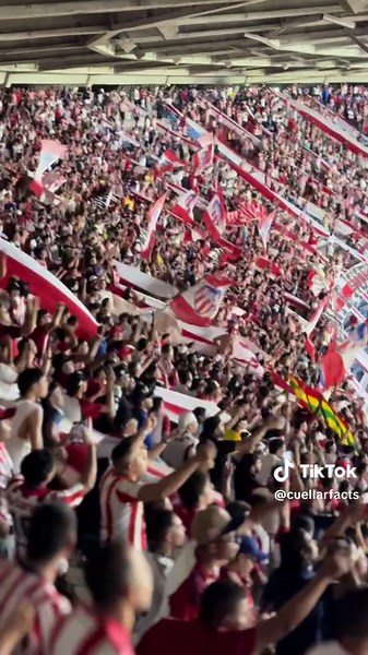Señores yo soy de Junior nací en curramba 🎶🎶 | JUN 3 - cal 0 | #juniordebarranquilla #barranquilla #barrabrava #Los100DelJunior #juniorvscali #loskuervos🇦🇹 #lbk #junior #labandadeloskuervos #fyp #barras