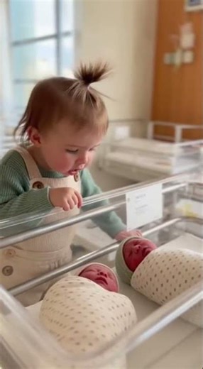 Big Sister Points Out The Twins!
