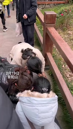 #猝死 急救黄金3分钟 #AED自动体外除颤器 #自动体外电击器 #automatedexternaldefibrillator #便携式医疗设备 #AHA #CPR #能与死神赛跑的机器 猝死前出现胸痛、呼吸困难、眼前发黑、眩晕等症状，约90％为心源性猝死、其余则是其他重大急性疾病导致 #出现心搏骤停 方法抢救：#电除颤 #心肺复苏 #有猝死家族史患者猝死率更高 猝死原因分类： #心源性猝死 ：最常见的原因是 #冠心病 ，其次还包括器质性心脏病(心脏形态、结构异常)和心肌离子通道缺陷性疾病。 #非心源性猝死 ：包括 #肺梗死 #支气管哮喘 #脑出血 #急性出血坏死性胰腺炎 #主动脉夹层 #内源性高血钾等。 发病情况： 美国心脏病协会2015年的数据显示，院外心脏停搏者存活率仅为10.6%，其中部分存在神经受损，男性发病率高于女性。 心源性猝死，即因心脏疾病导致的死亡者约占90%；非心源性猝死，即因其他原因导致的死亡，约占20%。 心源性猝死年龄发生呈双峰分布，即第一峰发生于出生后6个月(称婴儿猝死综合征)，第二峰多发生于45～75岁之间，与冠心病年龄分布相吻合。 猝死的时间分布呈明显