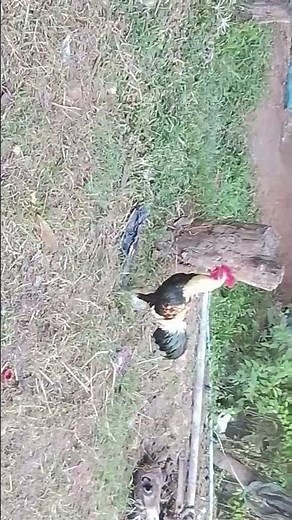 2 ธันวาคม ค.ศ. 2025