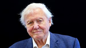 Jaw-dropping moment rhino stalks city streets in BBC's Planet Earth 3