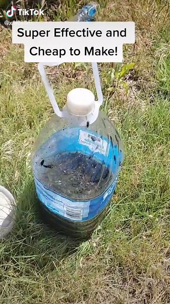 Easy #homemade #diy #flytrap #simple