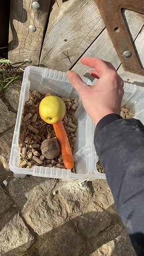 Horse feed preparation is one of my favorite things 👩🏻‍🍳 #equestrian #lifeofanequestrian #horse #equestrians #konie #equestriangirl #equestrianlife