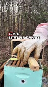 Installing honeybee package