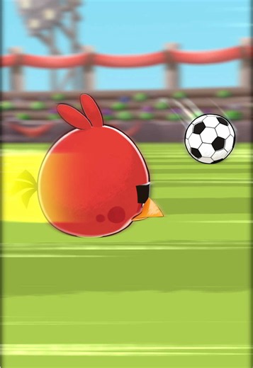 bro is owning the pigs in every sport ⚽️ #angrybirds | angry birds