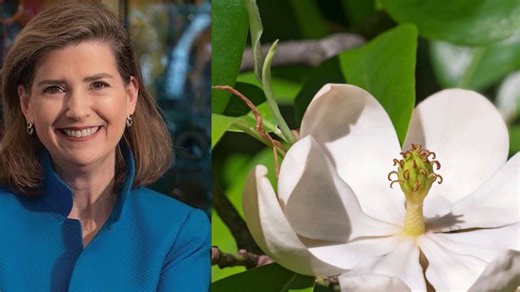 Senate passes bill to change state flower