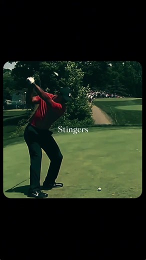 There’s nothing in golf that screams “I know exactly what I’m doing” like a stinger. 😮‍💨⛳️🔥 This is the shot that separates pros from the rest of us. Not because it’s flashy — because it’s controlled violence. Low launch, piercing flight, barely any spin, and it just keeps chasing like it’s mad at the fairway. The ball comes out hot, stays under the wind, lands like a skip stone, and runs forever. Pure “get in the fairway and keep moving” energy. 🧊🏃‍♂️💨 And the best part? You can hear it. 