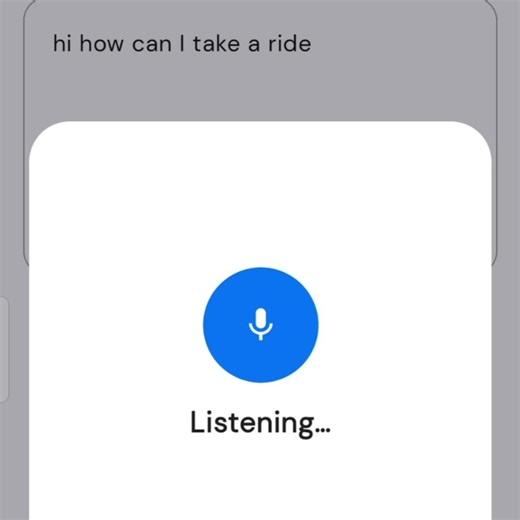 Language Translator, Voice