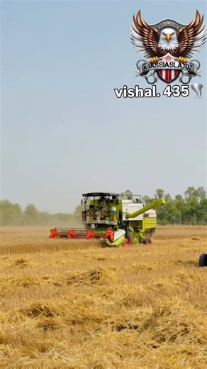 vishal 435 combine lovers harvester #shotrs #shortsfeed #sabscrab #jattlife