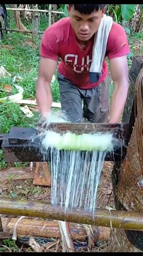 process Of Abaca Fiber 🍌🌿🪢