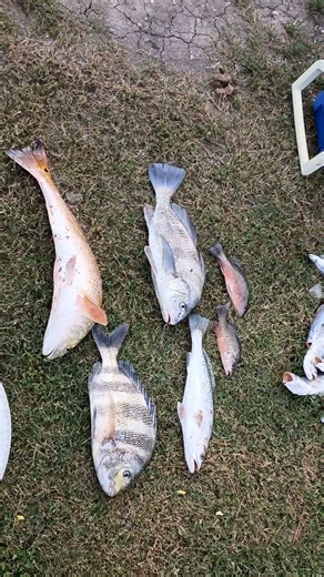 Fishing in Galveston and Sargent TX