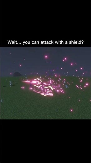 This whole time… I thought shields were just for blocking #minecraft