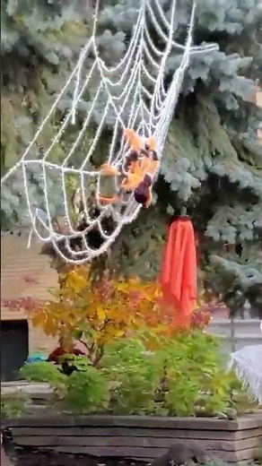 Así se vivió Halloween 2020: Un año diferente pero con mucho Espíritu, Decoraciones y Ambiente único