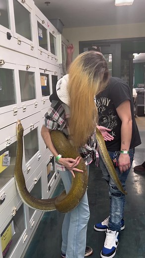 Another up close and personal tour!!! Not only is this a fun experience for humans… but our animals love it too ♥️♥️♥️♥️ They all want the attention 😇😇🥹🥹#t#tiktokl#lovev#virale#explorepaget#trendinge#explorem#memef#fypp#photographyv#videoa#artc#cutep#petreptiler#reptilekeeperrhinoiguana #tortise #f#fypf#fypシf#fyfypシ゚viral