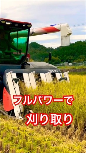 Kubota DR6130 130馬力コンバインで刈り取りSTAR🏃‍♂️#kubota #harvester #harvestermachine #harvesters #combine