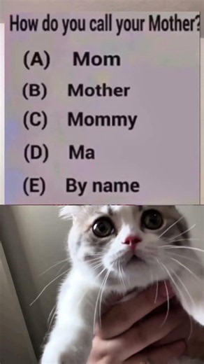 Daily dose of meme 1 #shorts #foryou #memes