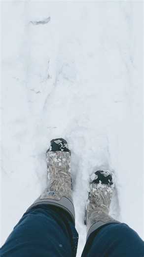 Maine creepy crawl walk! #maine #offgrid #homesteading