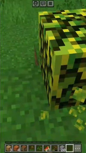 eu você rottweiler mundo de Minecraft rottweiler