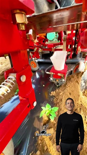 Incredible automatic planting machine: The future of agriculture is here today! #agrotech #viral ...