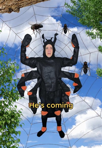 Beware his web 🕷️ #comedy #music #spiders | Spider Videos