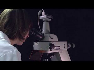 CHEMUNEX® SCANRDI - Sterility testing