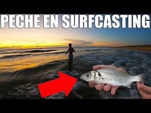 Pêche en Surfcasting (Pêcher depuis la Plage)