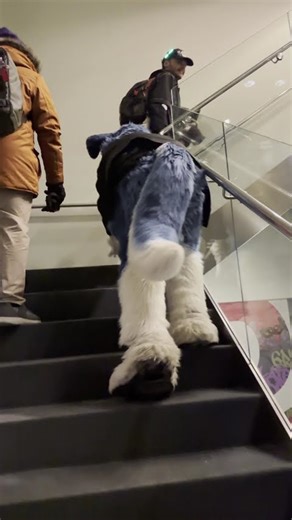 PUPPY GOES FOR A WALK! @LittleAlphaPup #furry #fursuit #furries #fursona