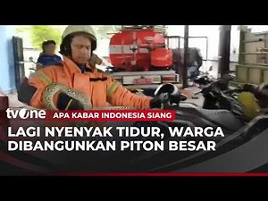 A 3.5-Meter Python Enters a Resident's Room in Surabaya | AKIS tvOne