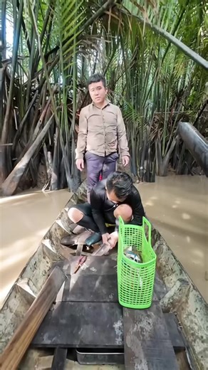 Lướt Web Nhanh Chóng với UC Browser