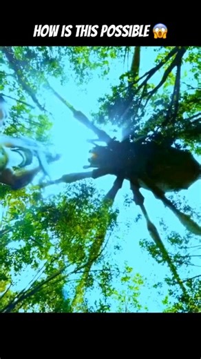 POYRAZ on Instagram: "🎬 The Big Mutant Spider Scene – Deep Sea Mutant Snake (2023) 🕷️ Scene Recap: Just when you think things can’t get any crazier, a massive mutant spider bursts out from the wreckage deep underwater! Its glowing red eyes lock onto the mutant snake, and what follows is a chaotic monster showdown — webs flying, fangs clashing, and pure CGI mayhem. It’s over-the-top, loud, and totally insane — exactly what fans of wild creature features live for. 💥 Why It’s Epic: • Huge mutant