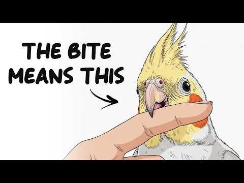 The Psychology of Birds That Bite You