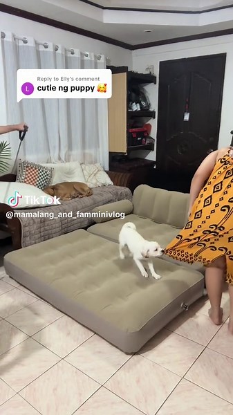 Replying to @Elly super kulit din😅