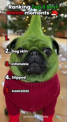 Top 5 Best Grinch Moments 🎄😂 | Ranking the Funniest Memes