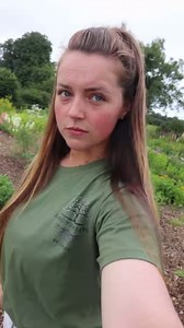 148K views · 8.6K reactions | Where are the butterflies this year?? 曆 #biodiversity #butterfly #native #nativespecies #Ireland #pollinators #organic #gardening | Blooms&Greens by Chloe | Facebook