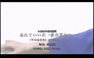 谷村新司＆小川知子-忘れていいの-愛の幕切れ-_（字幕）