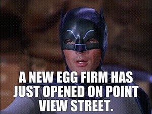 A new egg firm has just opened on Point View Street.