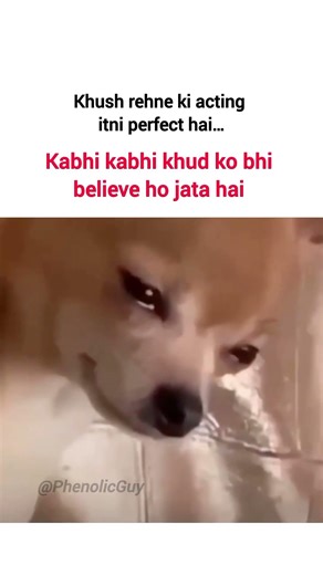 Reality🎭 #shorts #tweetmeme #tweetreels #meme #yt #youtubecrash