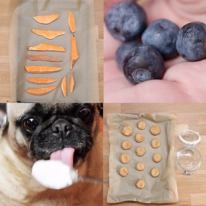 863K views · 1.5K reactions | 4 healthy dog treat alternatives  | BuzzFeed Animals | Facebook