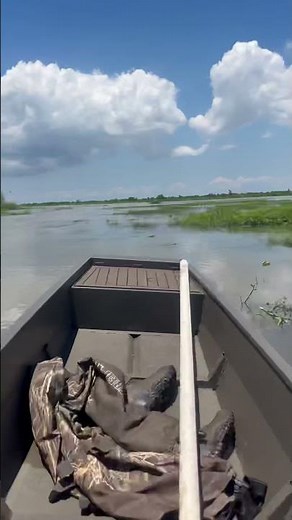 Modded GX200 on ppf wood duck long tail and a pintail mud runner boat #mudboat #duckboat #mudmotor