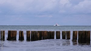 Seagull swimming on calm waves behind timber pillars on a cloudy summer day. Wooden breakwater, coast protection on the Baltic Sea. There is a fast moving police speedboat in the background.