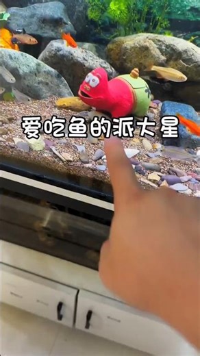 The turtle ate the fish🥵💥💫 #sprunki #usa