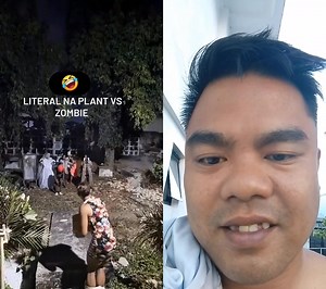 Plants vs zombe | Rodriguez HaMer