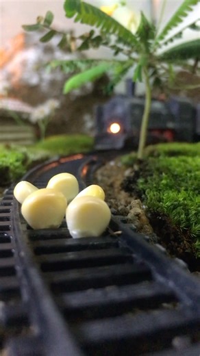 TRAIN VS CORN 🌽🌽 | Peaceful village ☘️