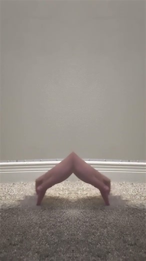 the super cool petting zoo #funny #oops #anomaly #trend #shorts #fyp #wacky