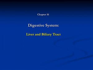 Digestive System: Liver and Biliary Tract - SlideServe