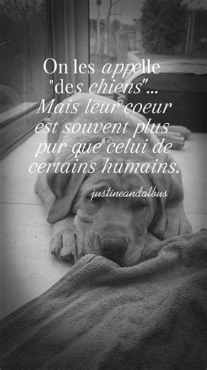 ❤️🐶 #chiot #chien #animaux